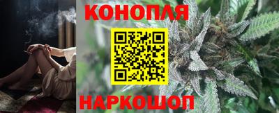 бошки Гатчина