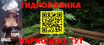 бошки Гатчина