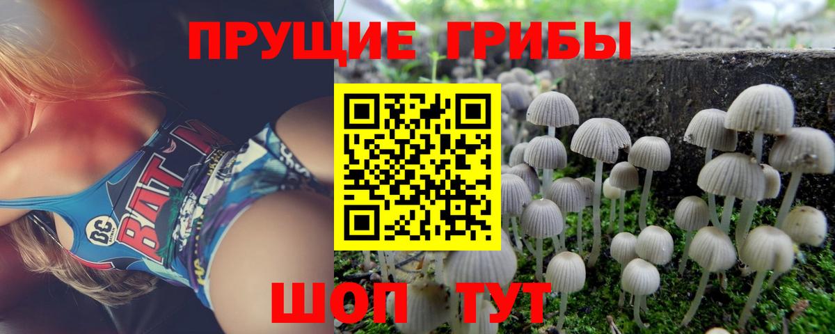 Псилоцибиновые грибы мицелий  даркнет сайт  Галлюциногенные грибы MAGIC MUSHROOMS  Калуга  Вход с VPN 